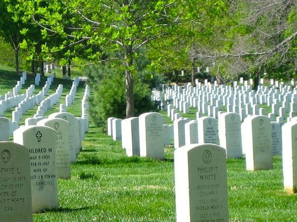 Rows of white gravestones in a green cemetery under leafy trees