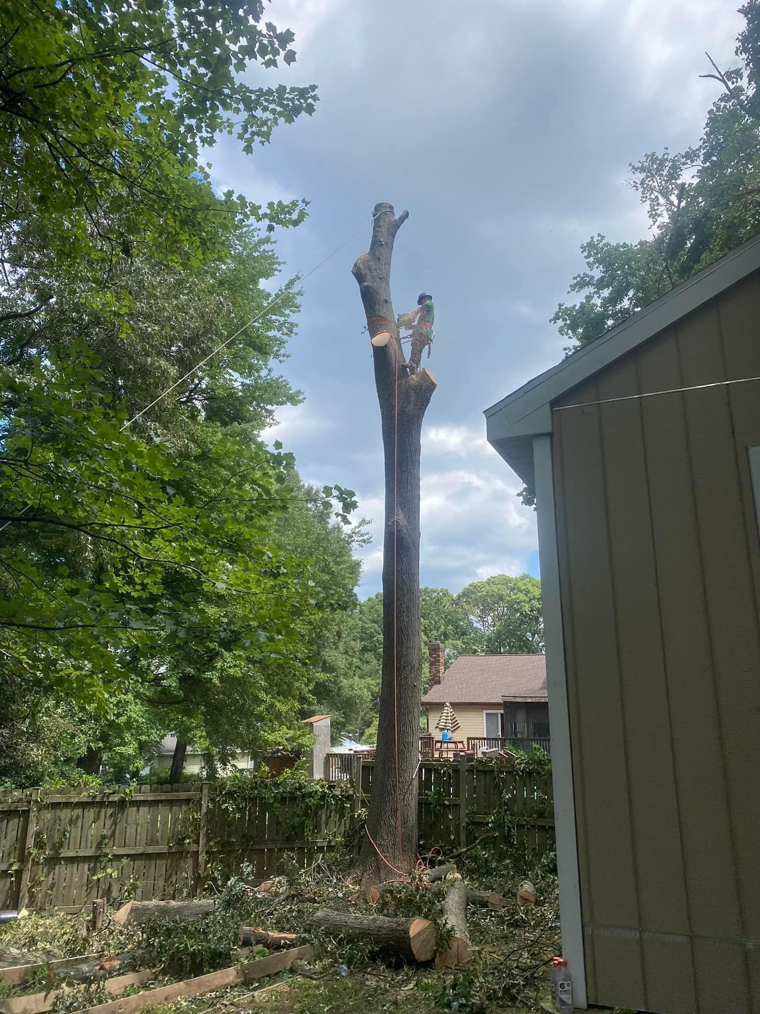 Tall tree stump in a backyard beside a house, with green trees and fence under a cloudy sky.