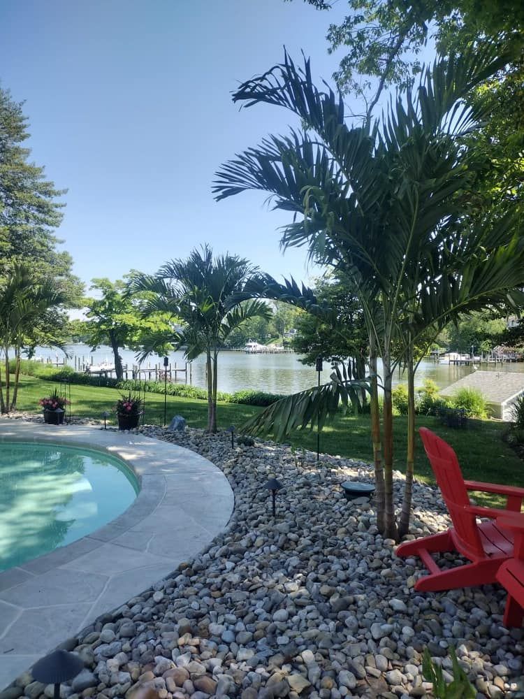 Curved pool edge beside palm trees, rock landscaping, and red chairs in a sunny tropical yard