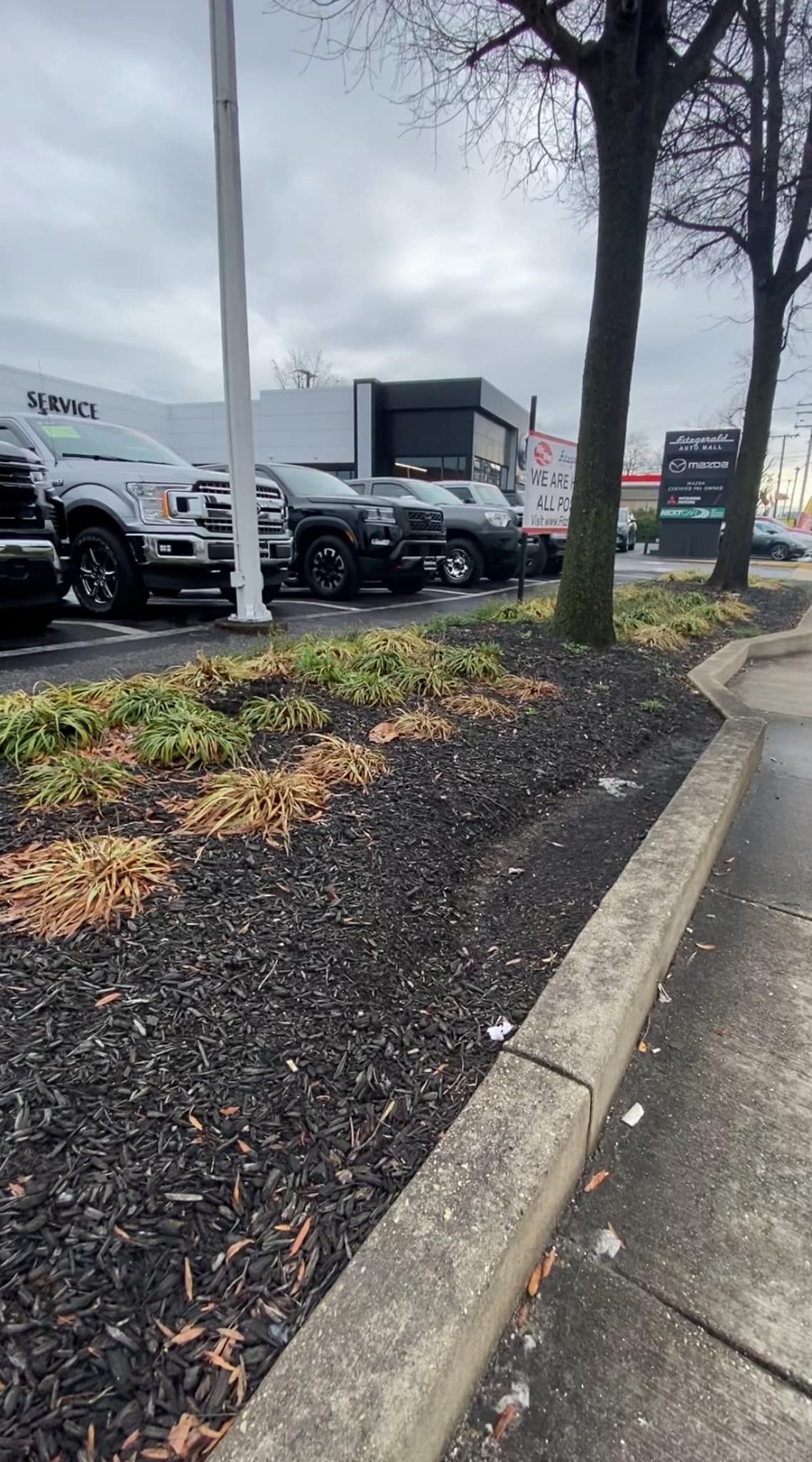 Wet parking lot beside a sidewalk and mulch bed, with parked cars and a cloudy, rainy street view.