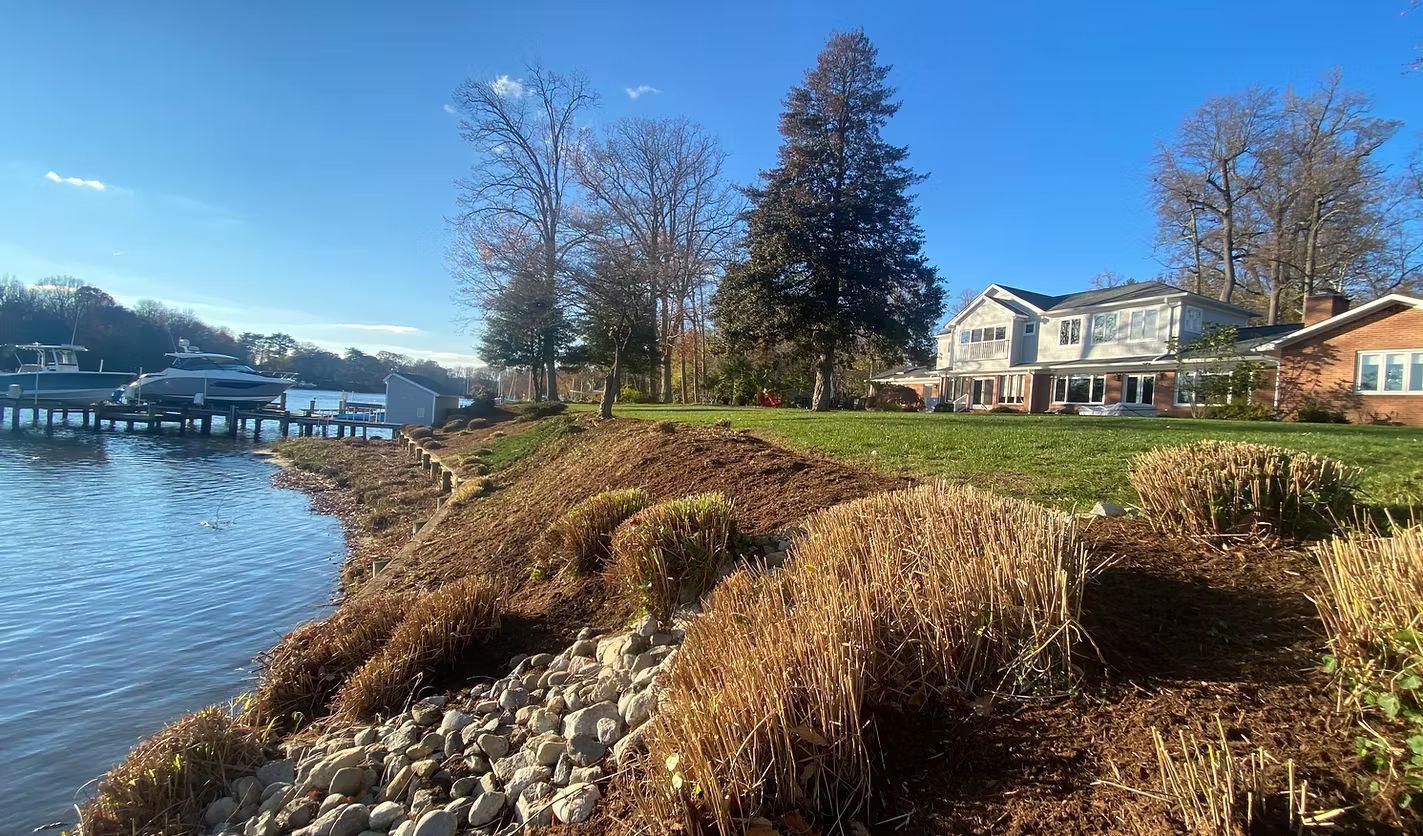 Riverside embankment with autumn shrubs, rocky shore, and houses under a clear blue sky