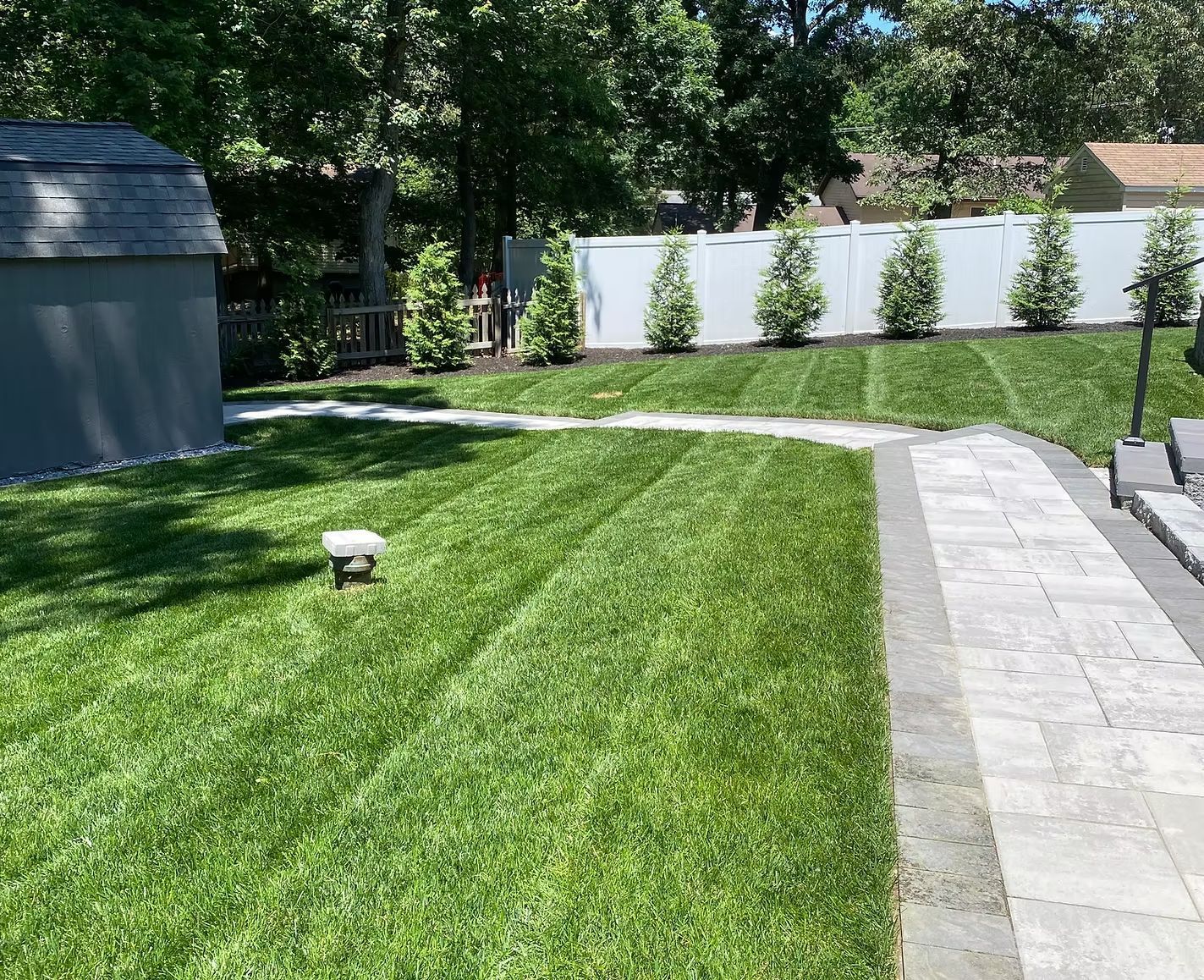 Backyard lawn with patio stones, white fence, and a small shed on a sunny day