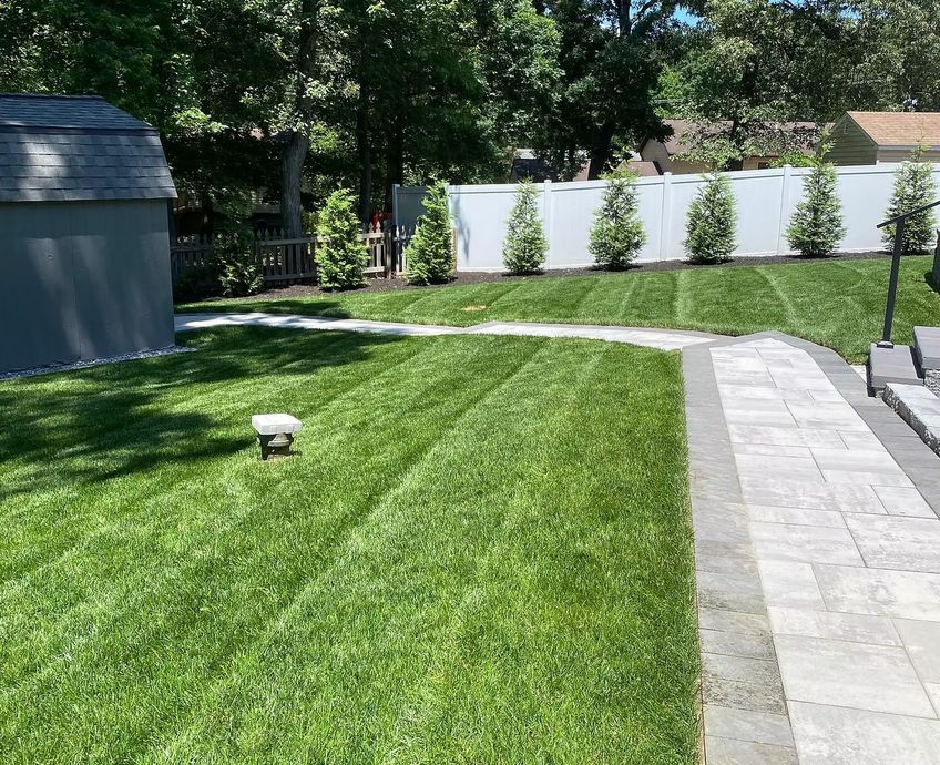 Backyard lawn with patio stones, white fence, and a small shed on a sunny day