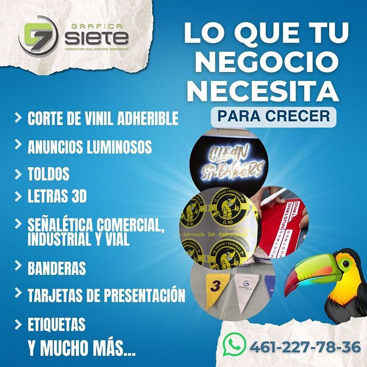 GRÁFICA SIETE