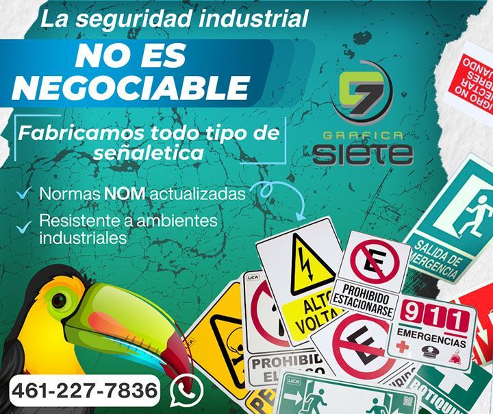 GRÁFICA SIETE