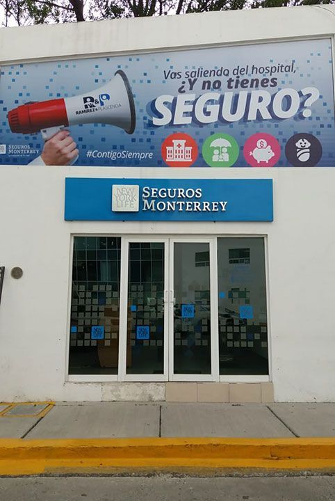 GRÁFICA SIETE