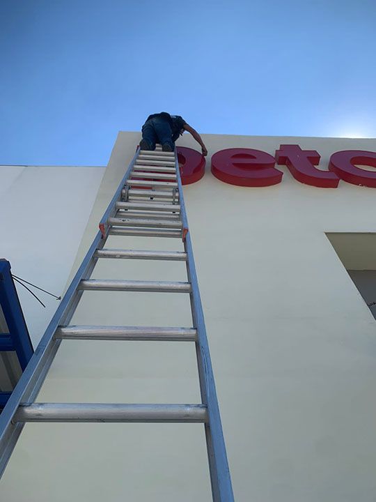 GRÁFICA SIETE