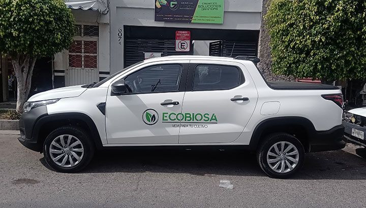 GRÁFICA SIETE