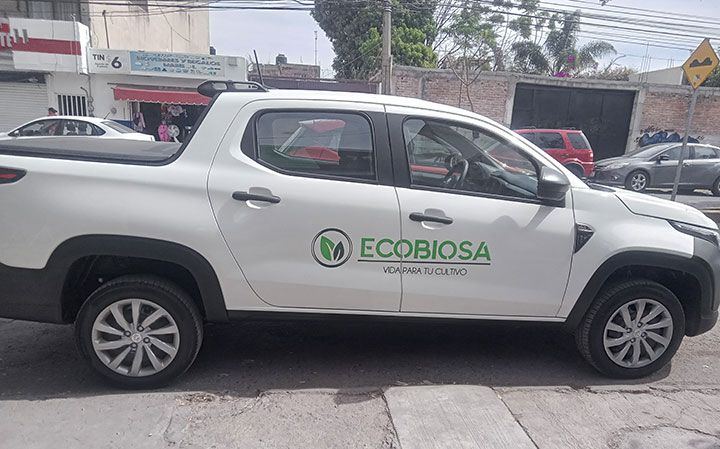 GRÁFICA SIETE