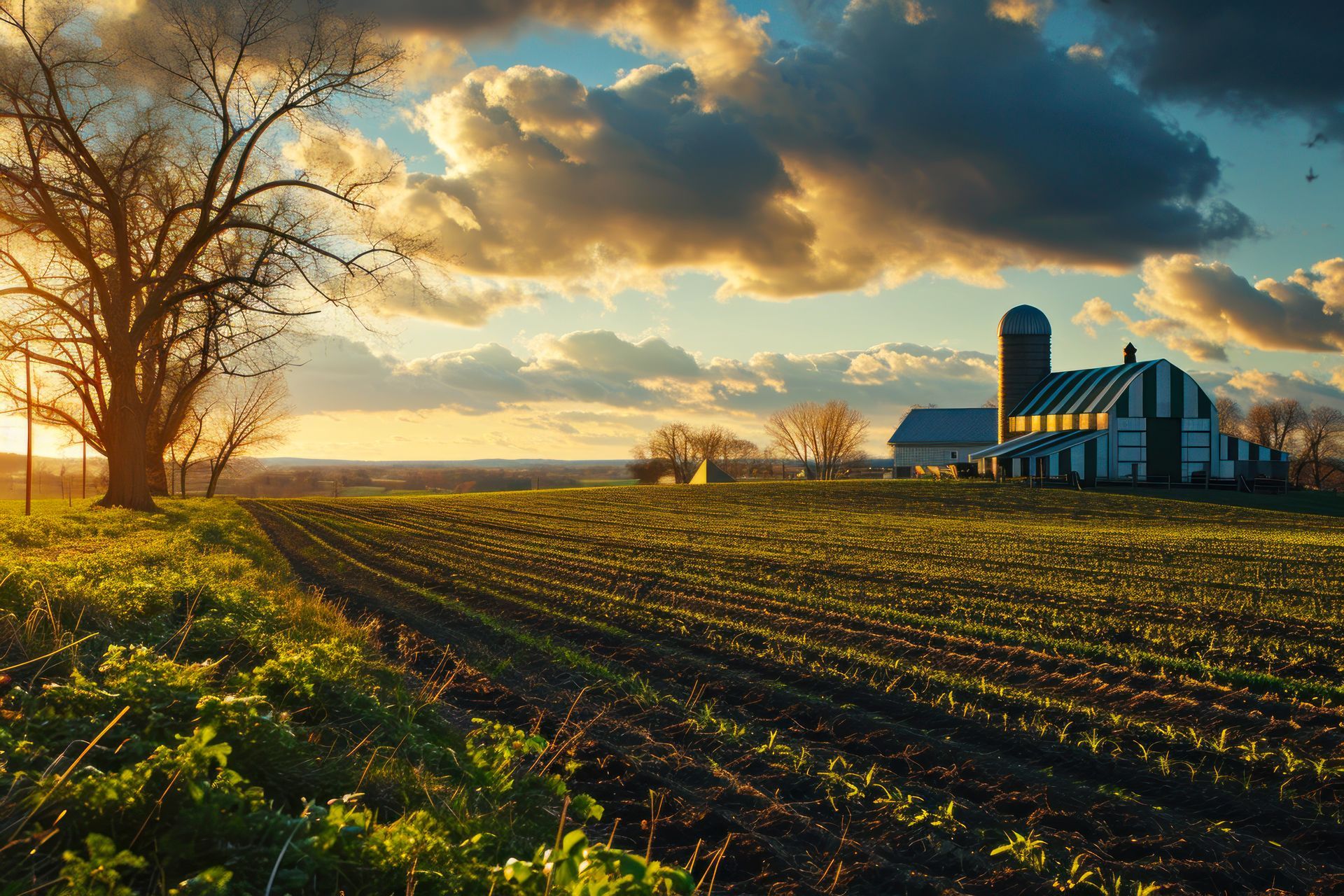 Farm landscape at sunset, fields in foreground, barn and silo, large tree on the left, dramatic cloudy sky.