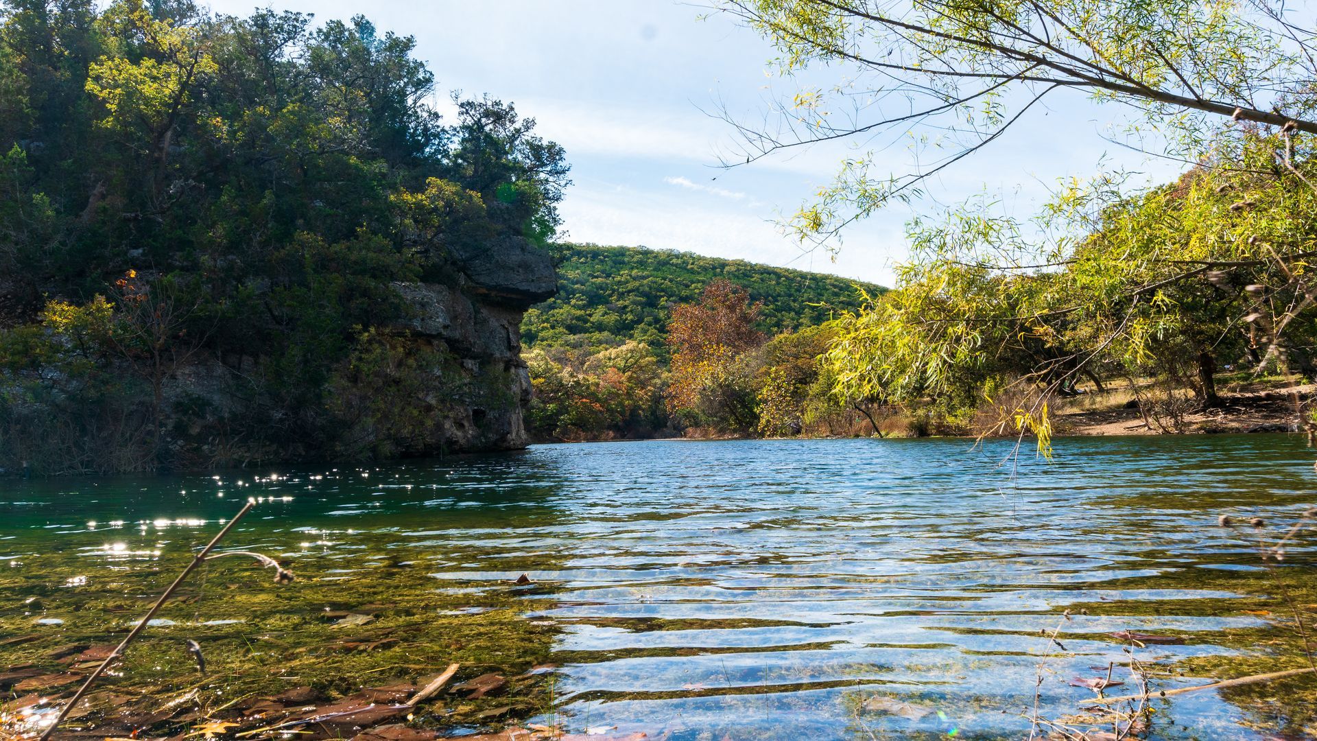 A large body of water surrounded by trees on a sunny day.