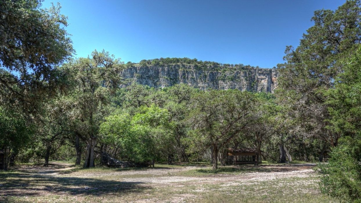 A dirt field surrounded by trees and a mountain in the background.