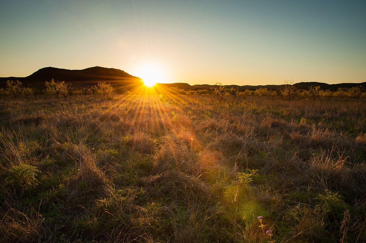 The sun is setting over a grassy field with a mountain in the background.
