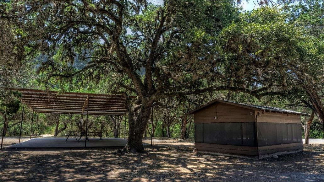 A wooden shed is sitting under a tree in the middle of a forest.