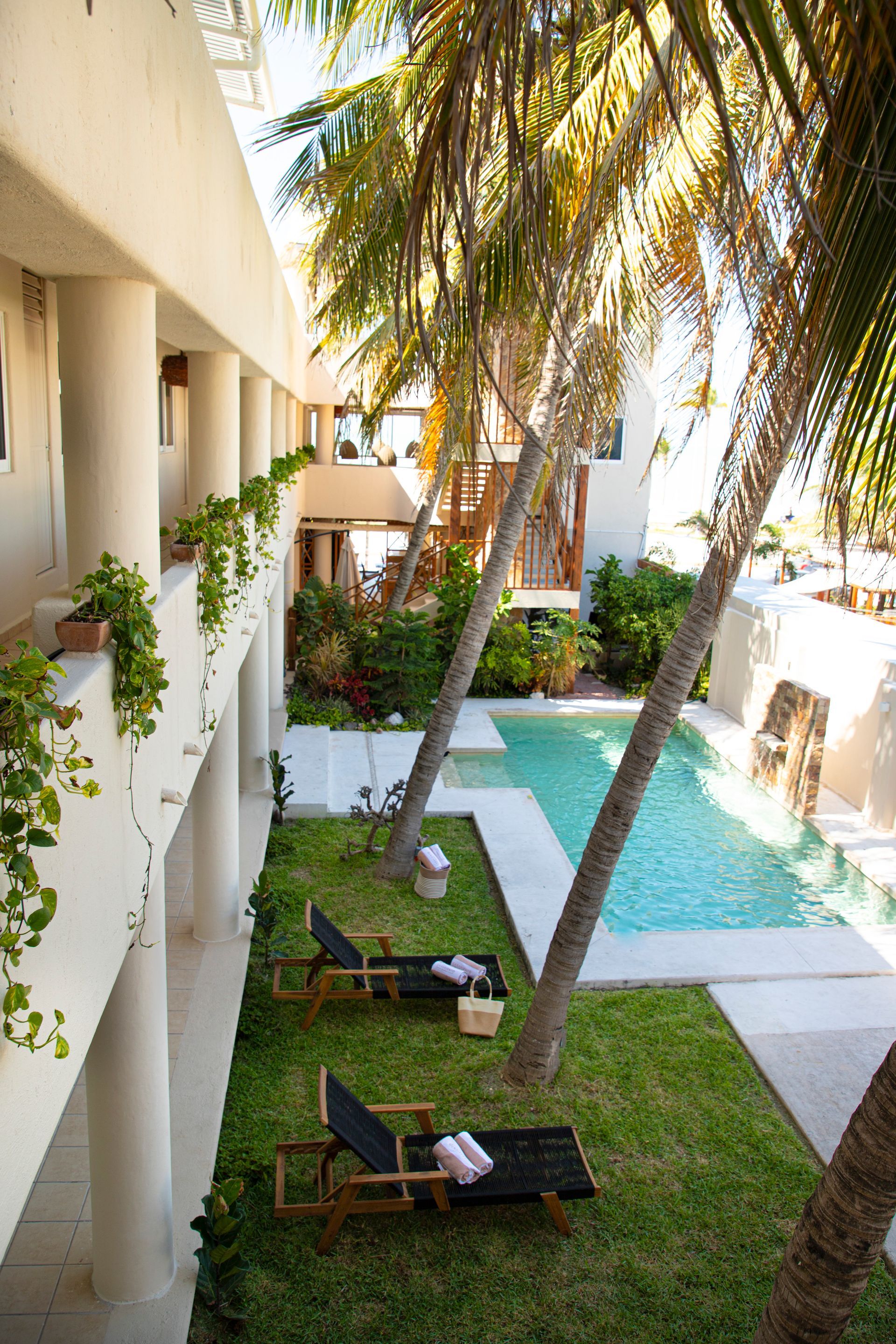 Una piscina rodeada de palmeras y sillas de jardín.