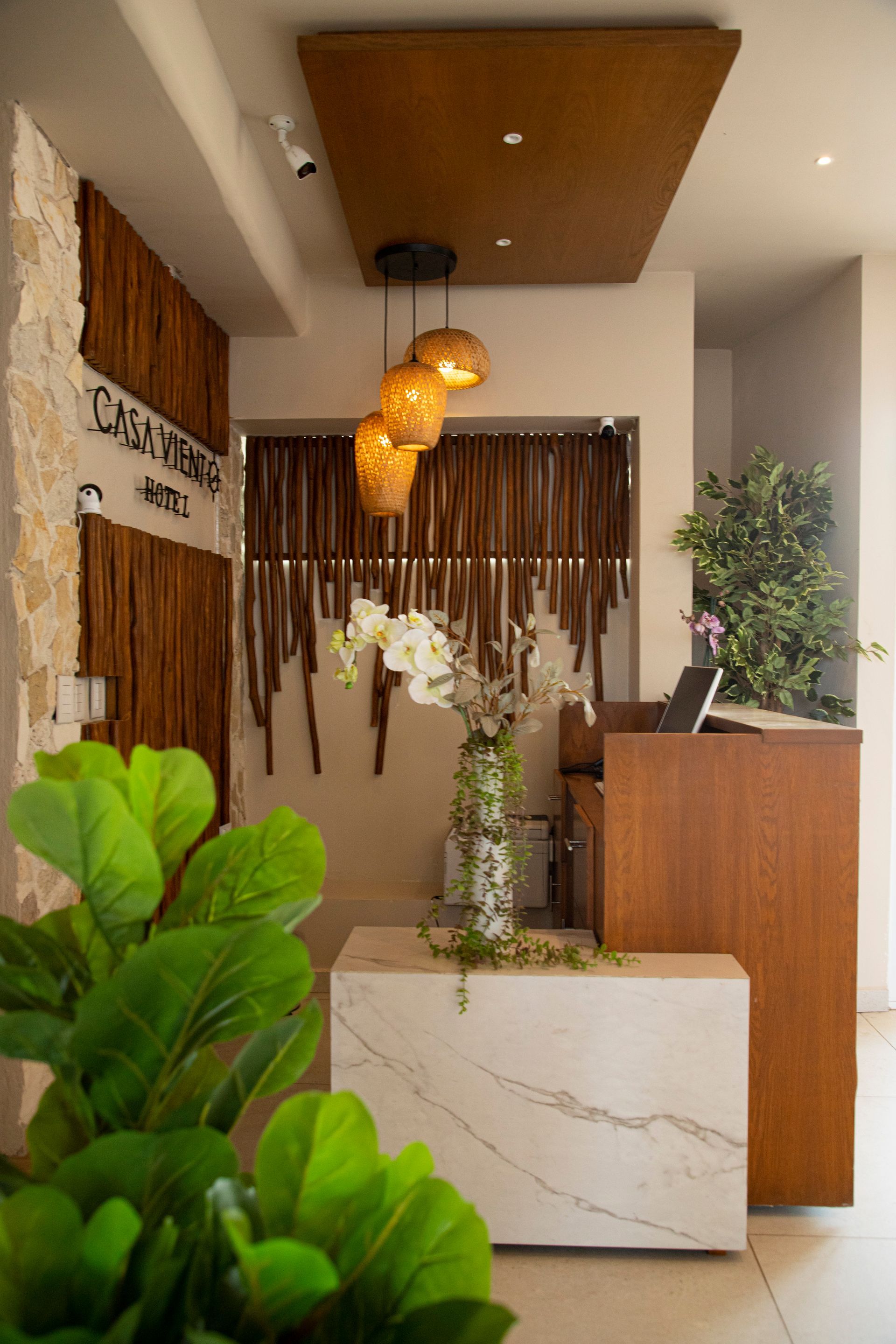 Un área de recepción con un escritorio de madera y una planta delante de él.
