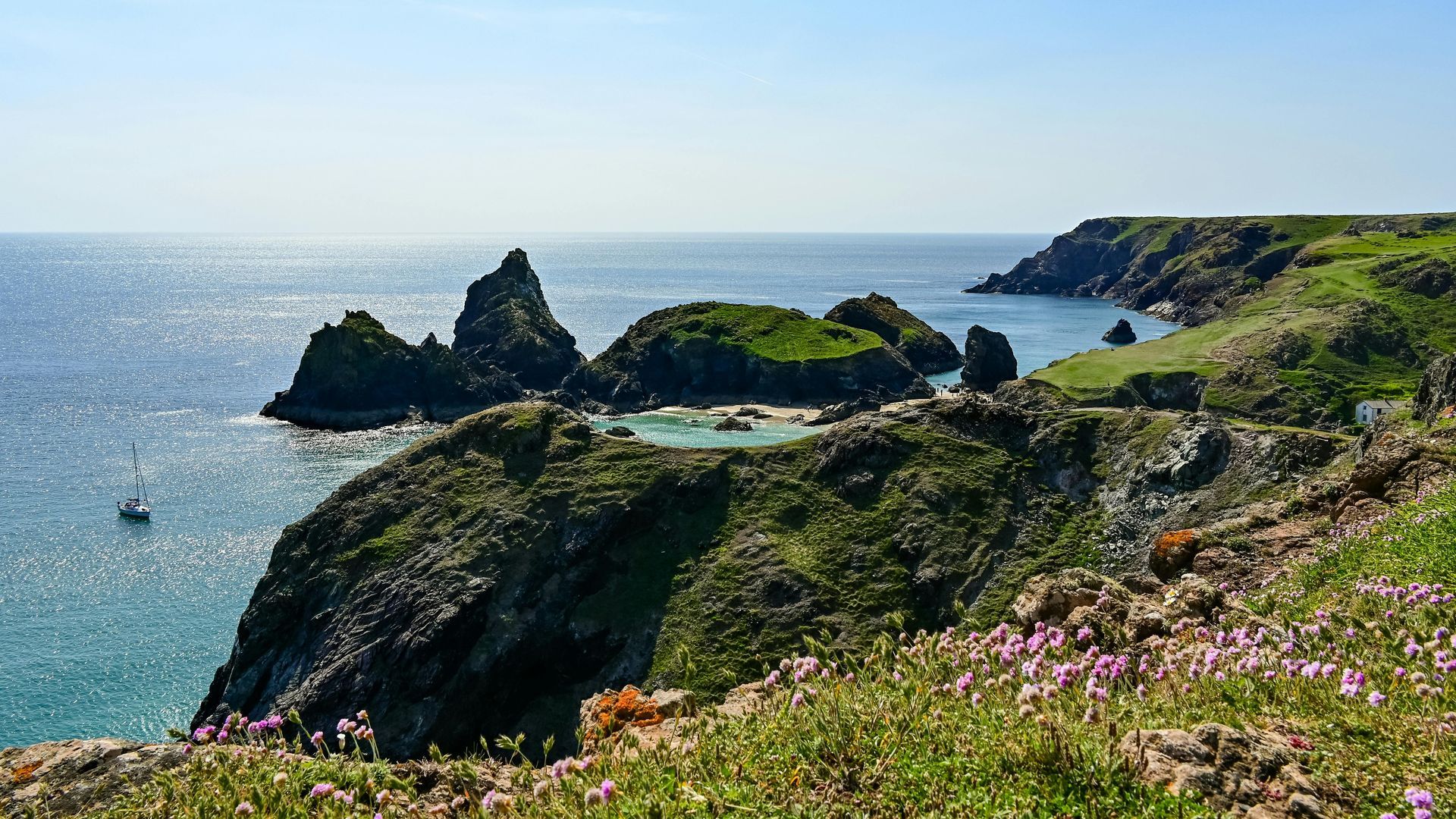 Rocky coastline with turquoise water, green cliffs, and wildflowers under a blue sky.