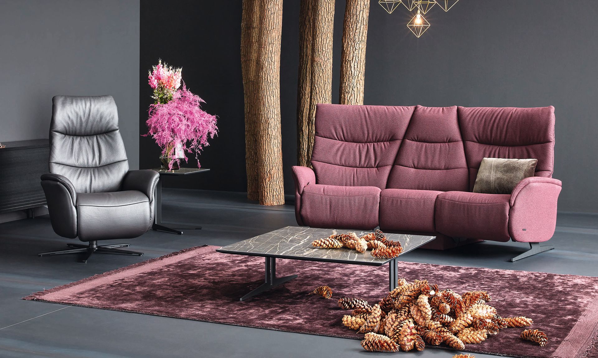 Himolla Furniture – Beatties Quality Furniture