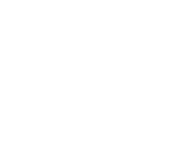 illustration sturmschaden haus