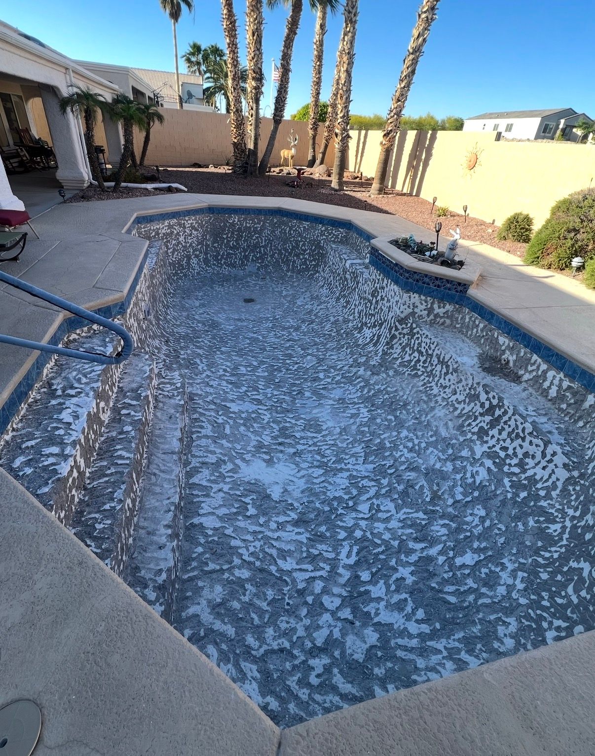 A swimming pool with blue tile and concrete decking in a backyard with palm trees under a clear sky.