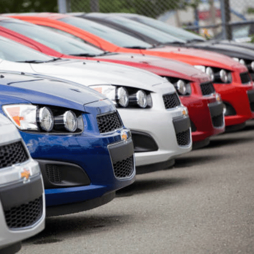 Domestic Vehicles