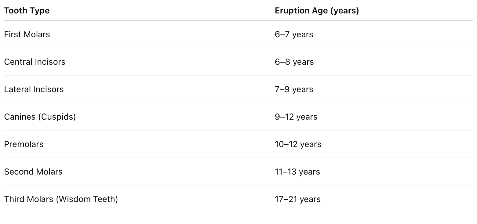 Permanent Teeth Eruption guide