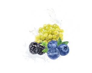 Adalya Visions - Grape Berry