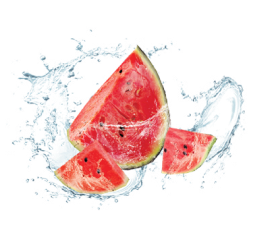 Adalya Pro 360 - Watermelon Ice