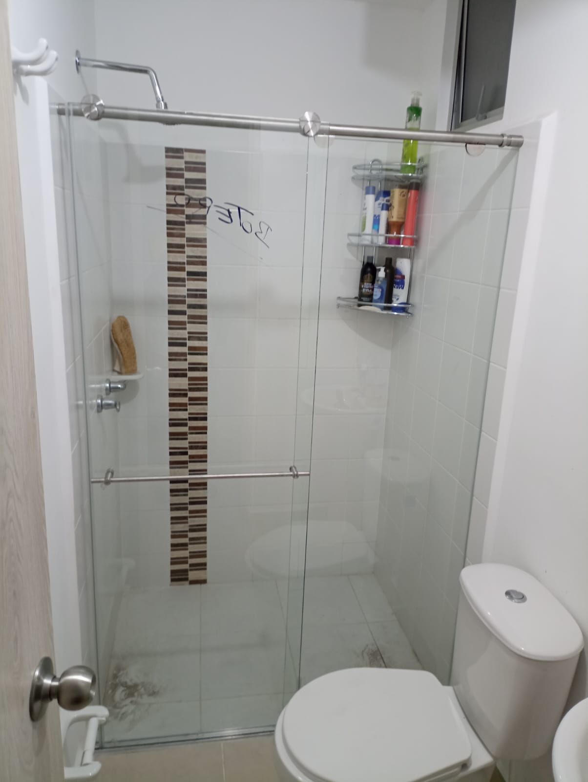 Un baño con inodoro, lavabo y ducha.