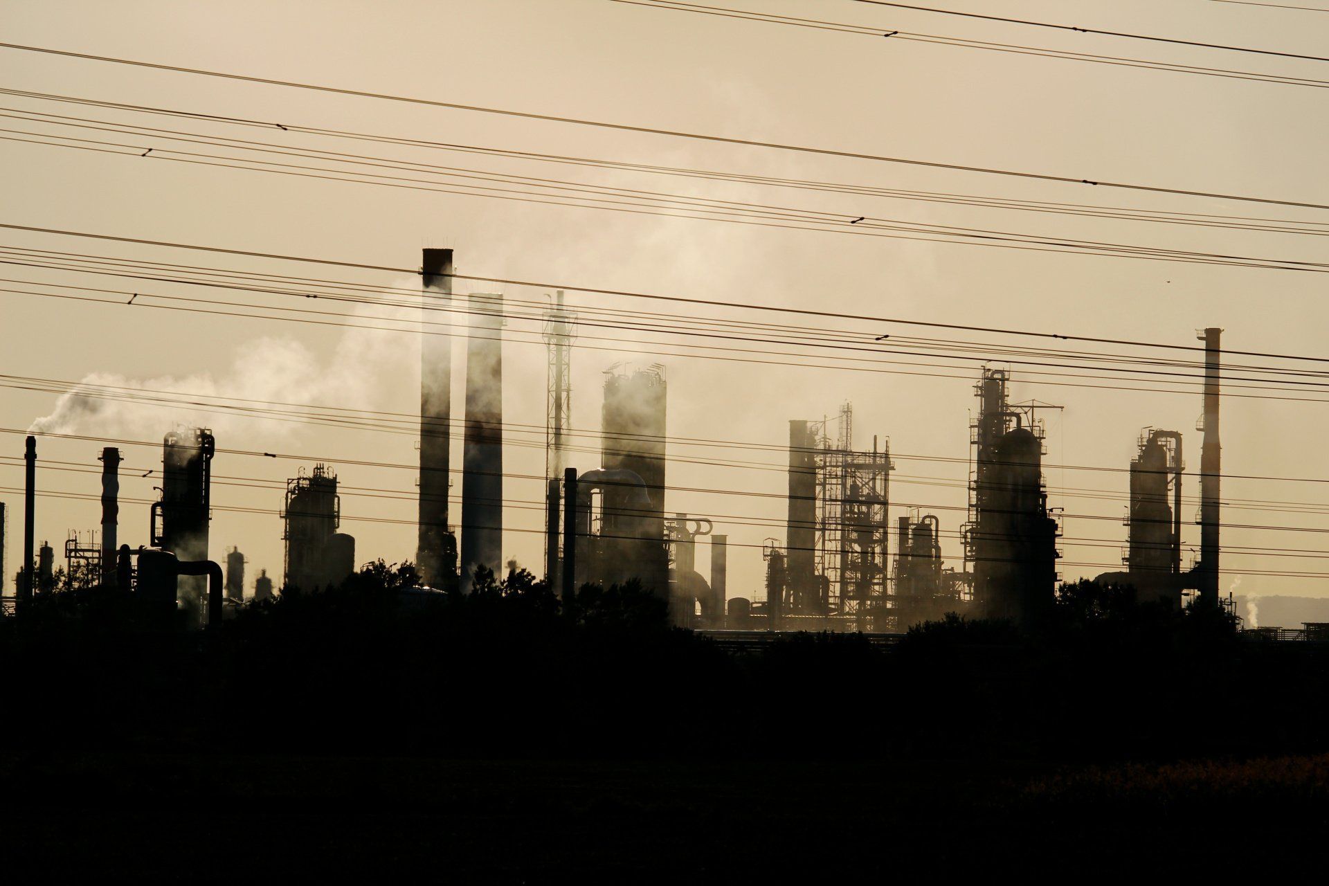 Petroleum plant