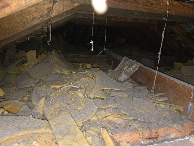 Attic filled with insulation debris and exposed wooden beams, seen from a narrow crawlspace opening
