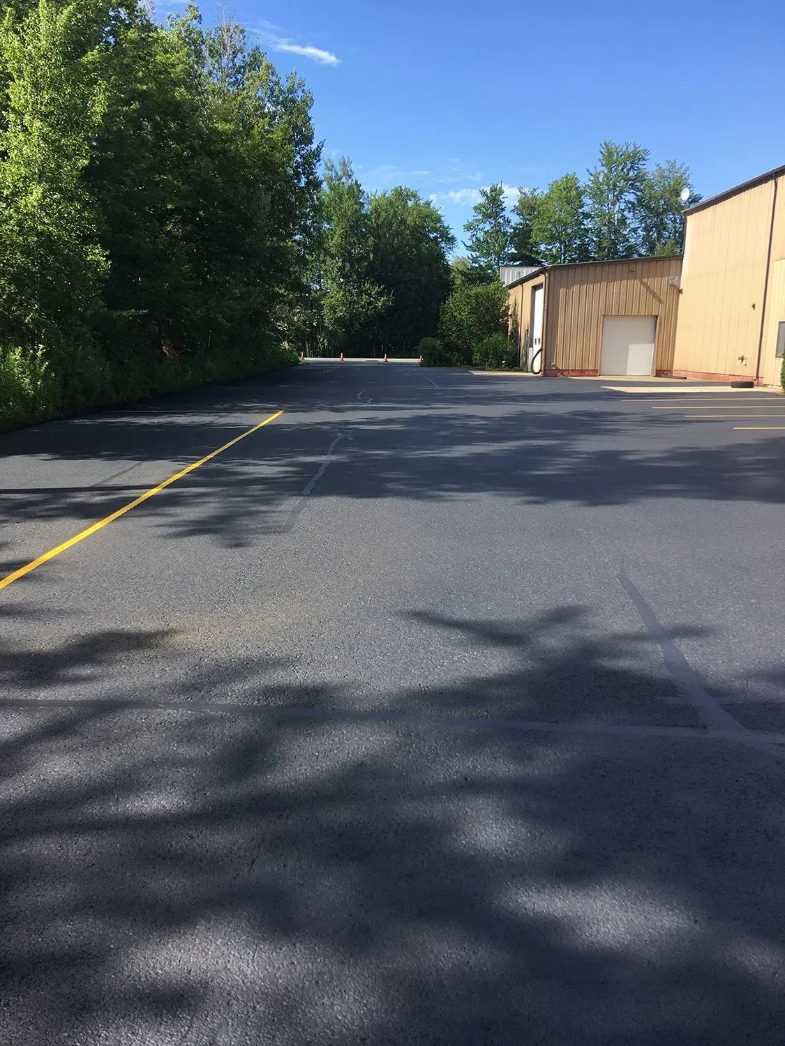 Trees And House On Road Side - Burlington, VT - Rox Asphalt