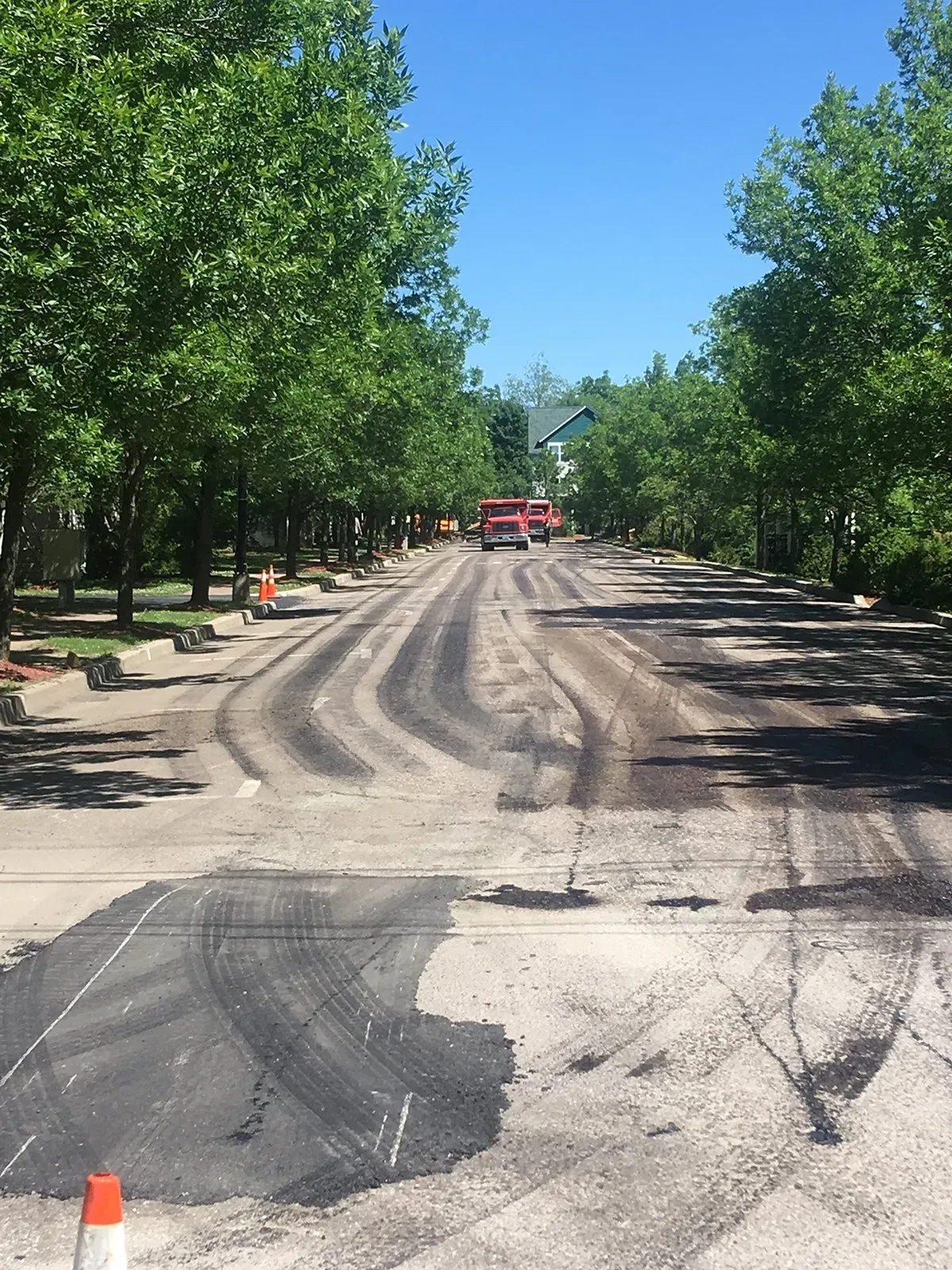 Trees On Road Side - Burlington, VT - Rox Asphalt
