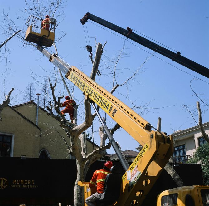 Tree workers in orange gear trimming branches from a yellow crane lift in a residential yard