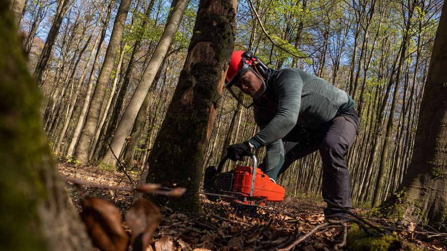 Person in a red helmet using an orange chainsaw in a wooded area, cutting fallen branches.