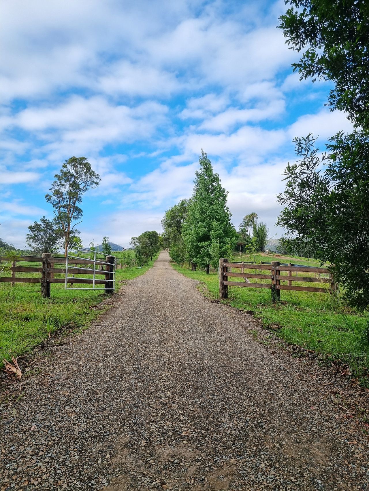 Workers Constructing Asphalt Road — Civil Contractors in Coopernook, NSW
