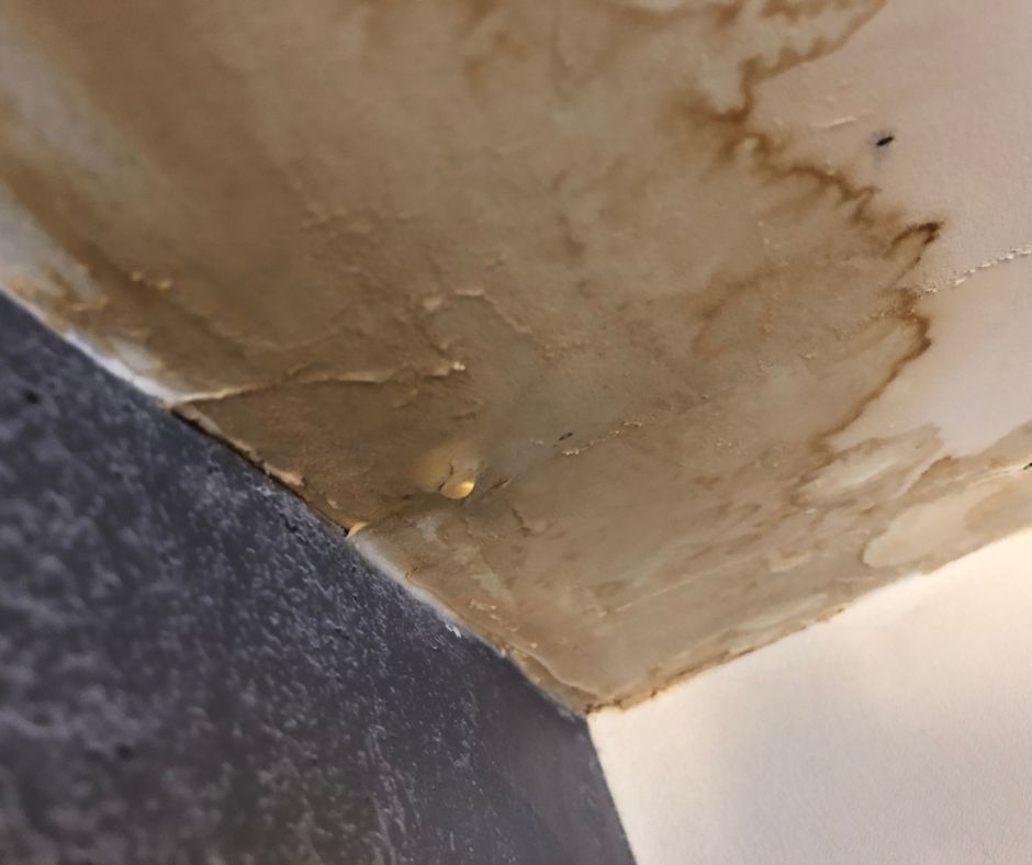 commercial water damage business ceiling with water damage