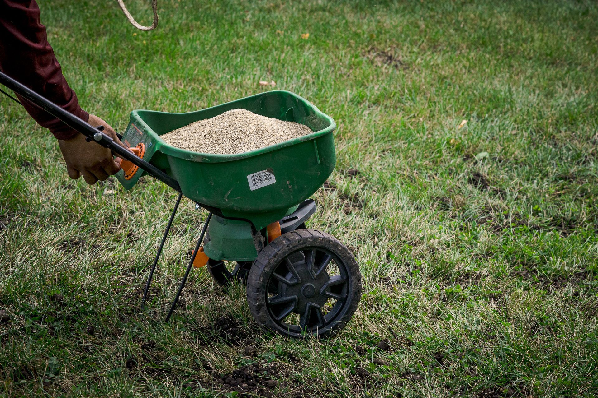 employee seeding a yard
