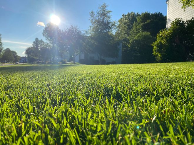 A house with a large lawn and a deck in the backyard.