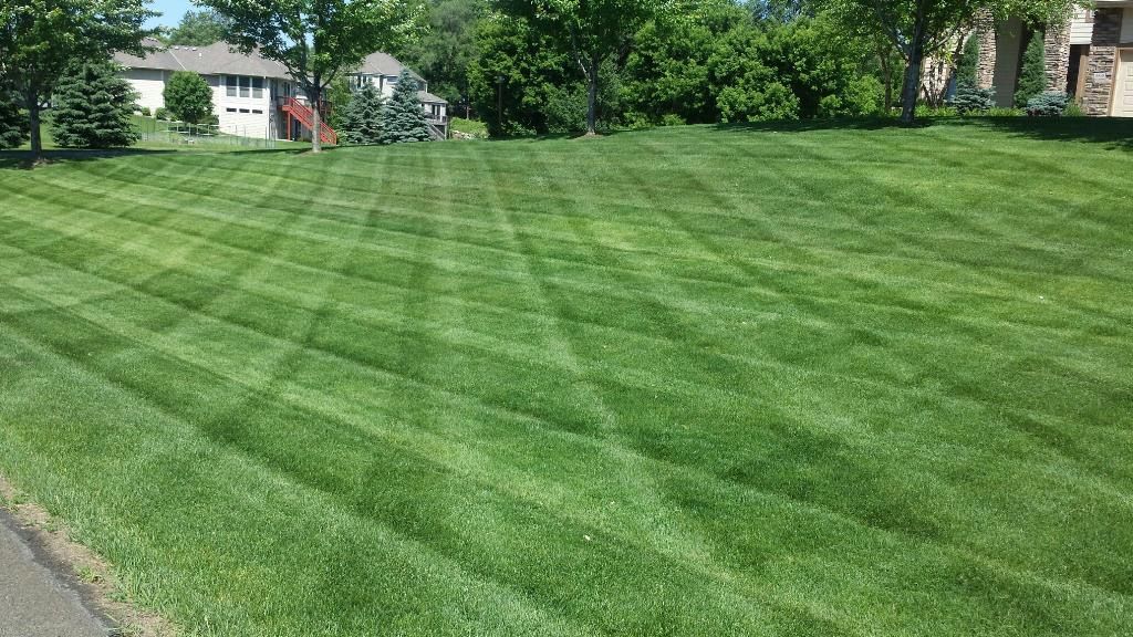 A lush green lawn is being mowed in front of a house.
