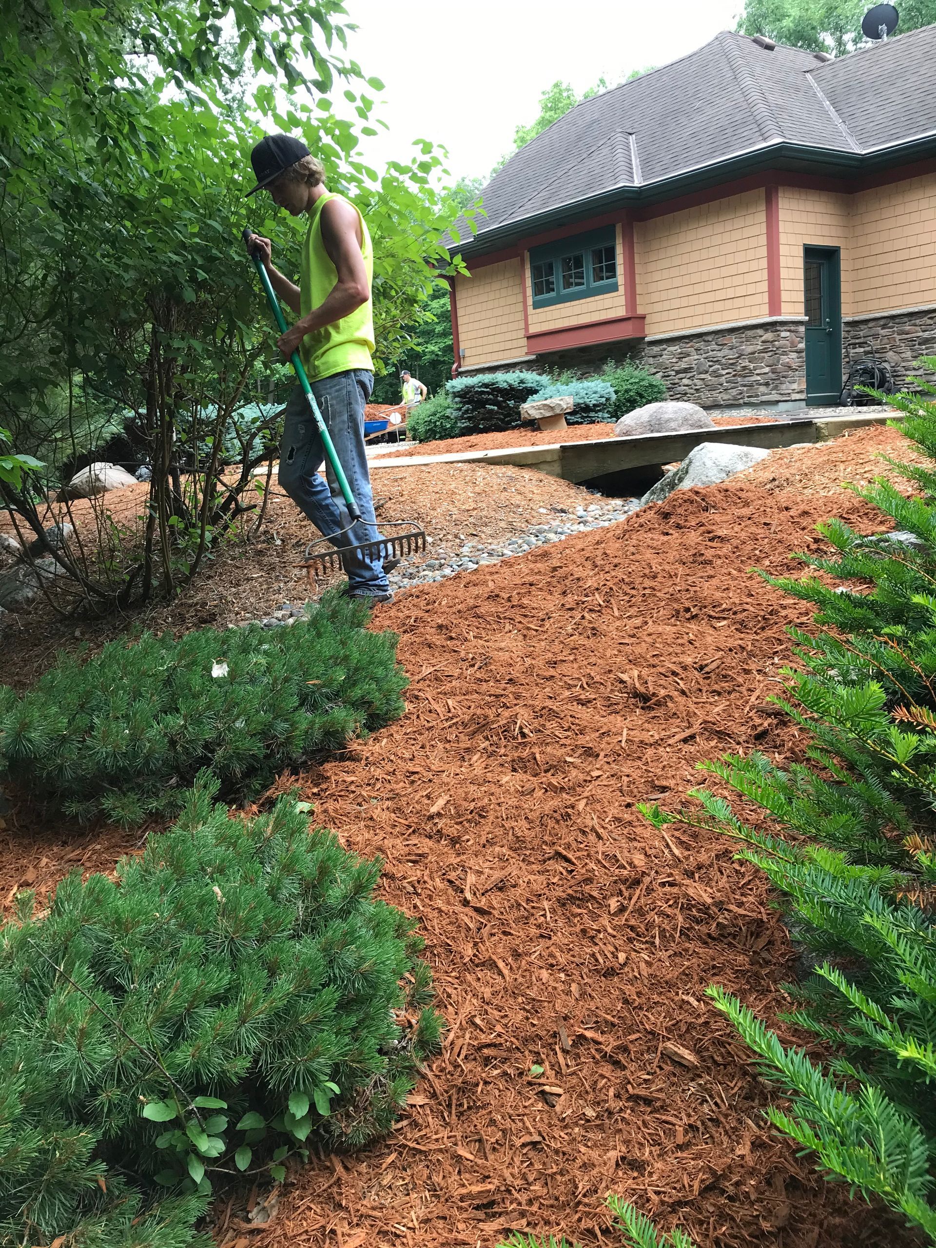 A man is watering plants in a garden with a hose.