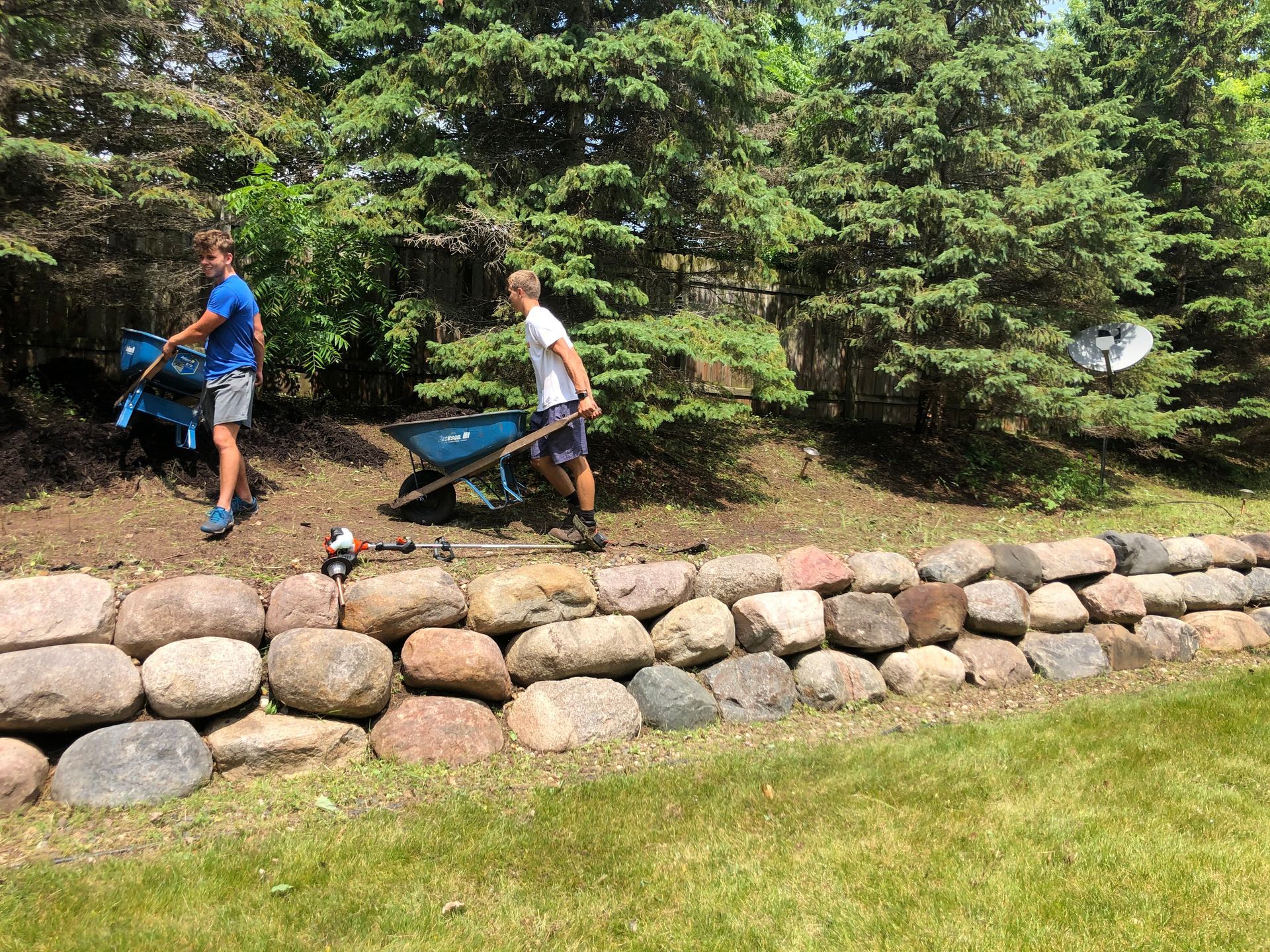 Two people use wheelbarrows to move dirt on a hillside near a stone retaining wall and evergreen trees.