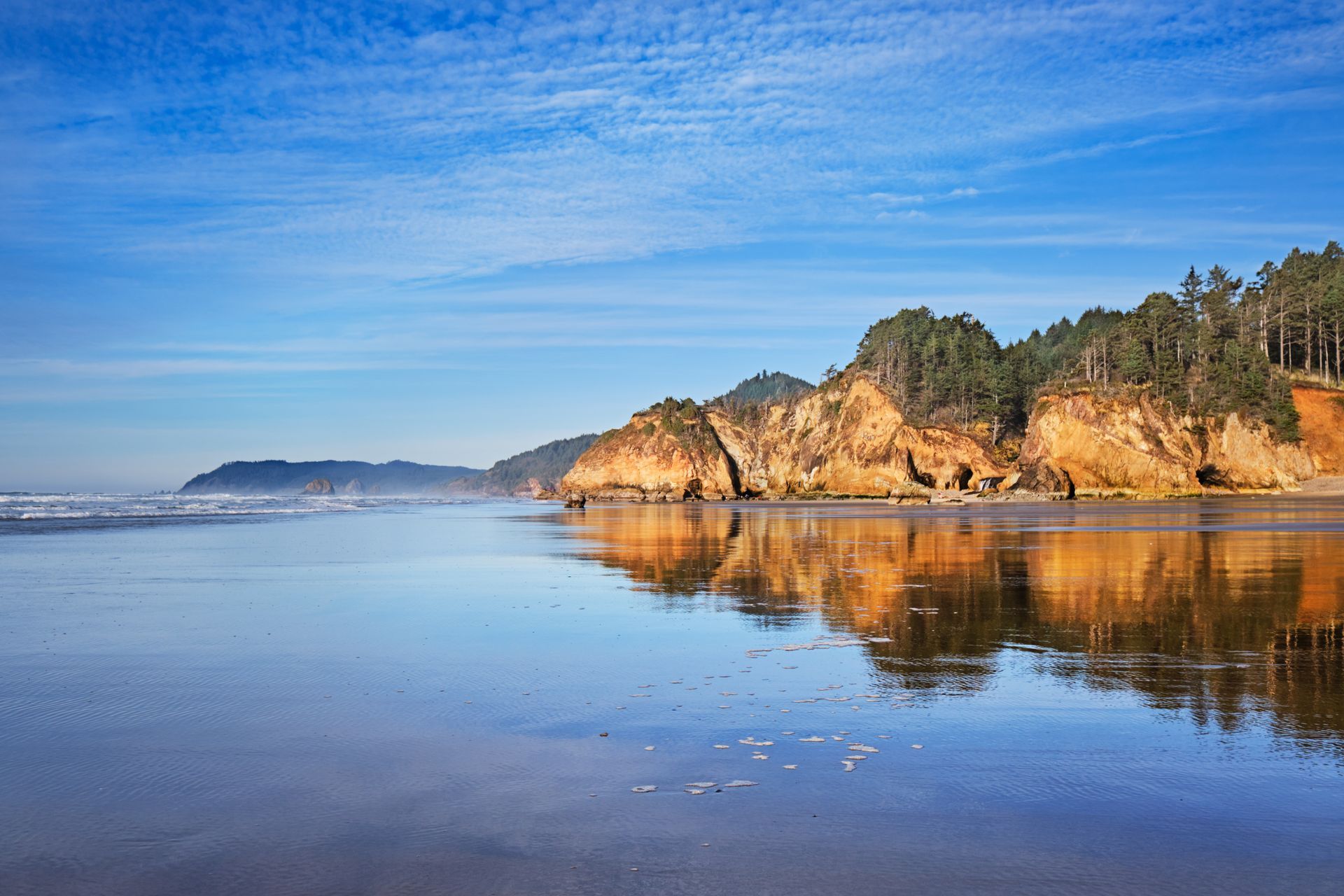 A beach with a cliff in the background and trees reflected in the water.