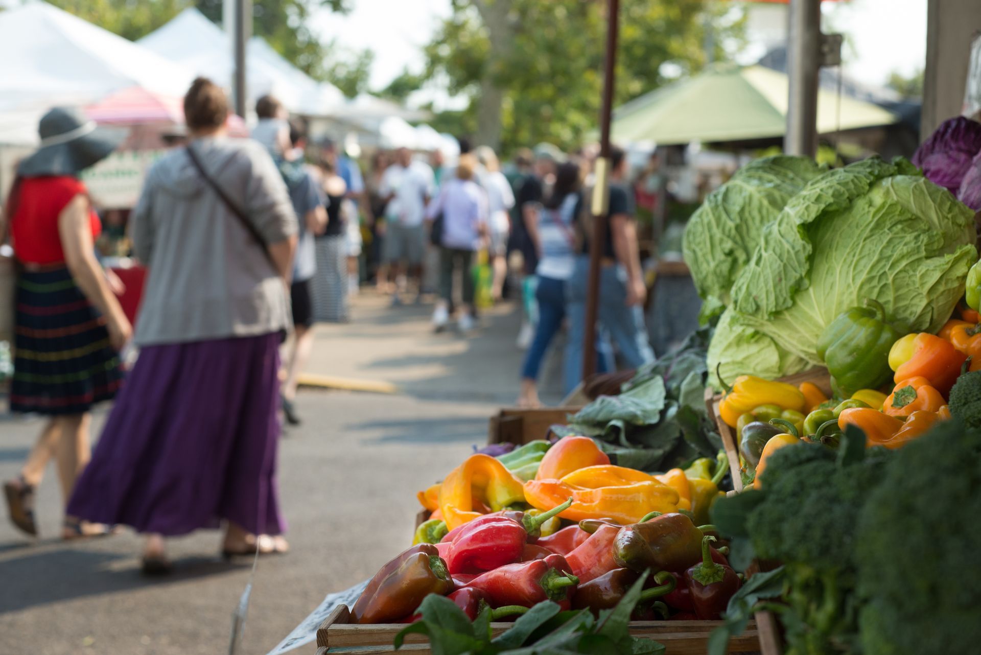 Produce on display at a farmer's market with shoppers strolling on a sunny day.
