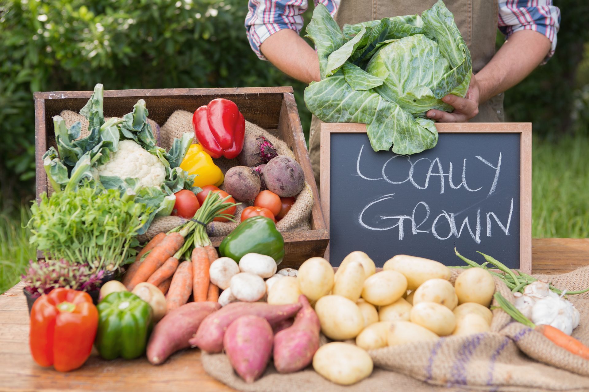 Farmer with fresh, locally grown vegetables, including carrots, potatoes, and cabbage. Sign reads 
