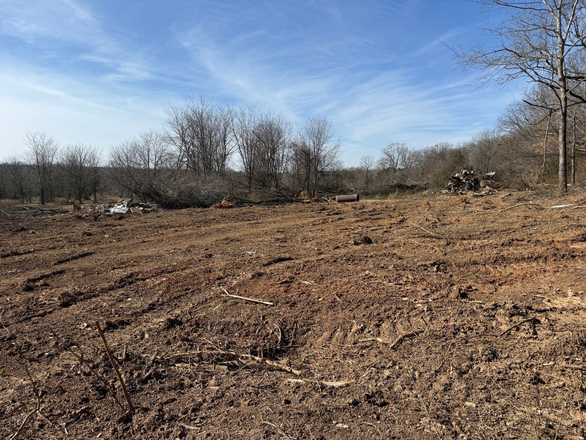 Cleared dirt field with scattered trees under a blue sky