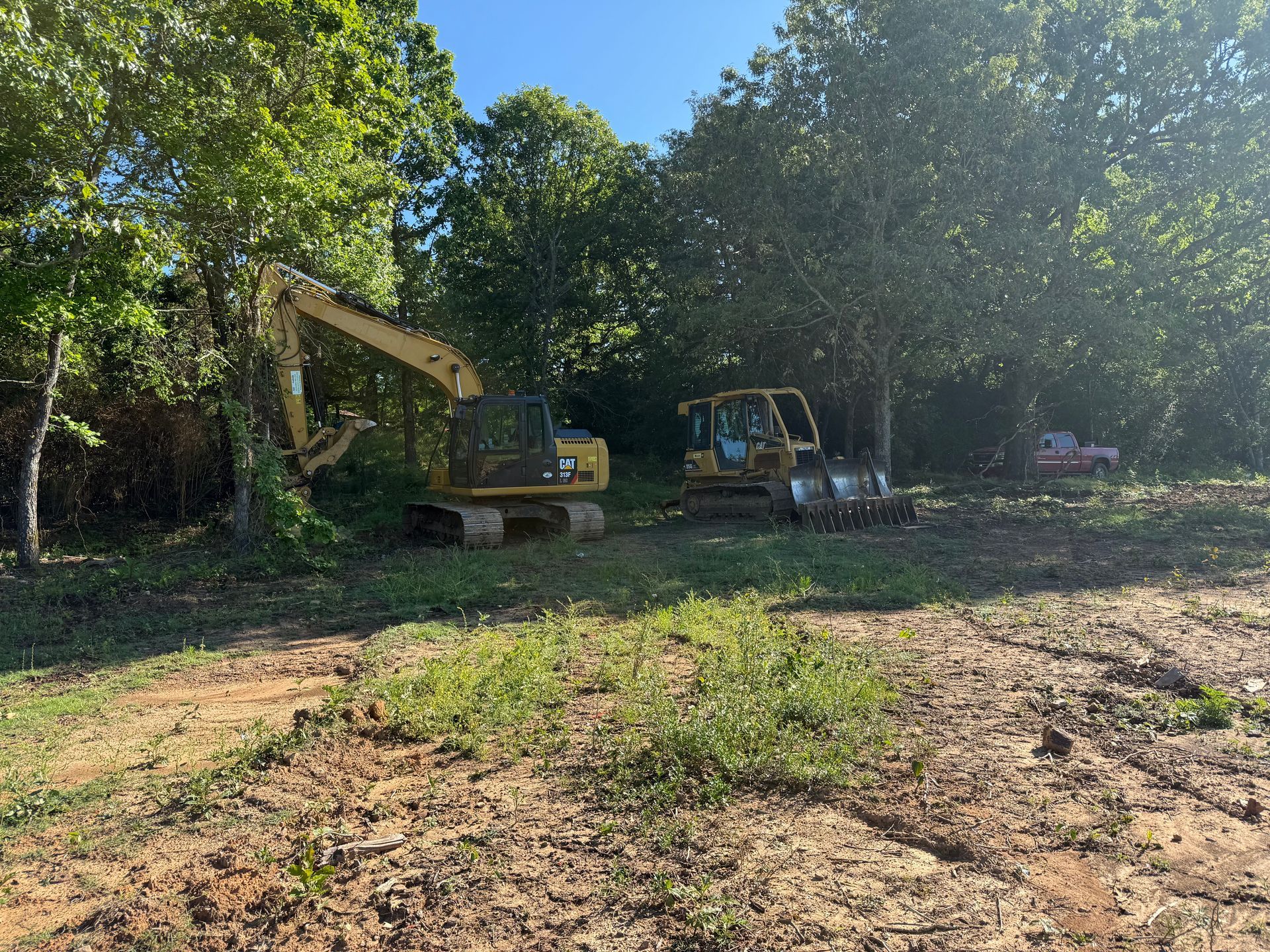 Two excavators parked in a clearing under trees, with sunlight and dry ground in the foreground