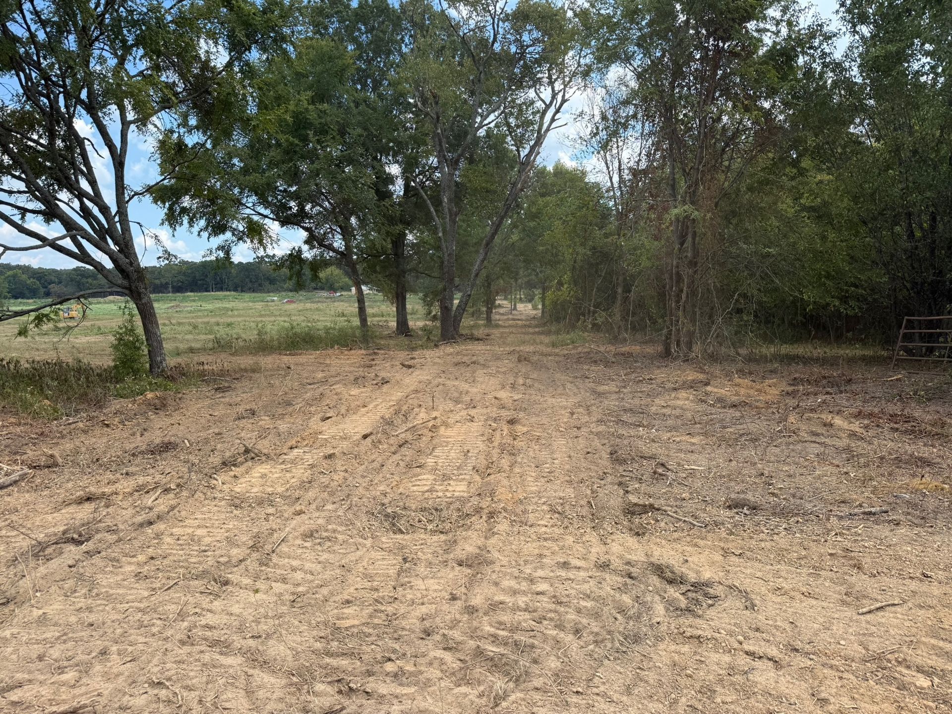 Dirt road through sparse trees beside an open field under a cloudy sky