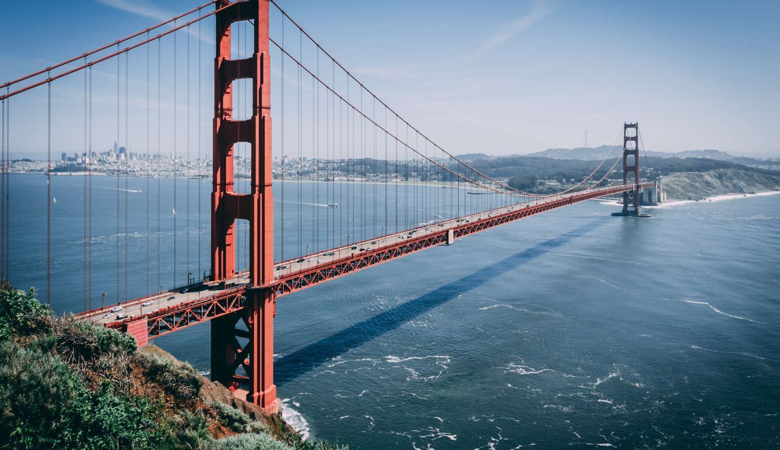 Investing in a mold remediation and water damage restoration franchise presents a lucrative opportunity in San Francisco, California