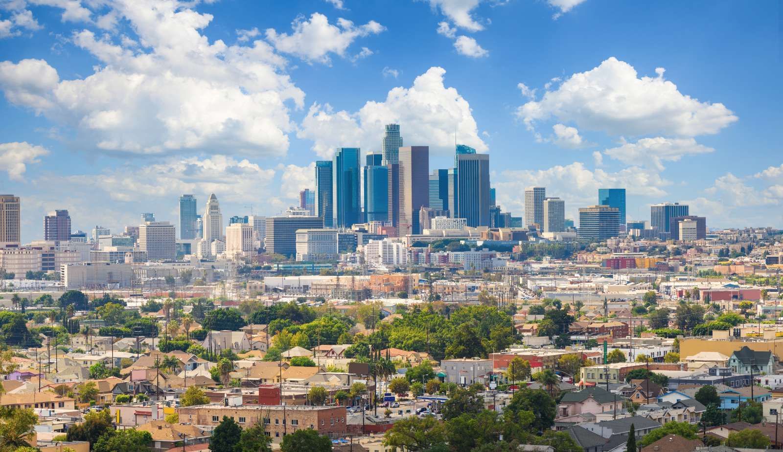 Los Angeles Mold Remediation, Water Damage, Hoarding & Crime Scene Cleanup Franchise for sale - Mastertech Environmental
